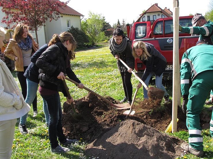 Jugendweihebaum, der 4. in Frankenhausen