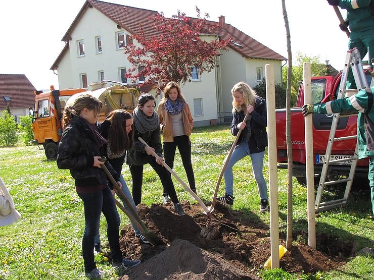 Jugendweihebaum, der 4. in Frankenhausen