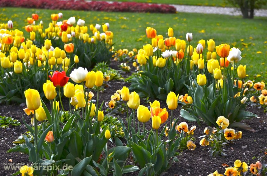 Osterfest Petersberg