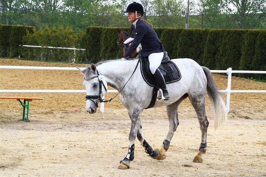 Reitturnier in Immenrode