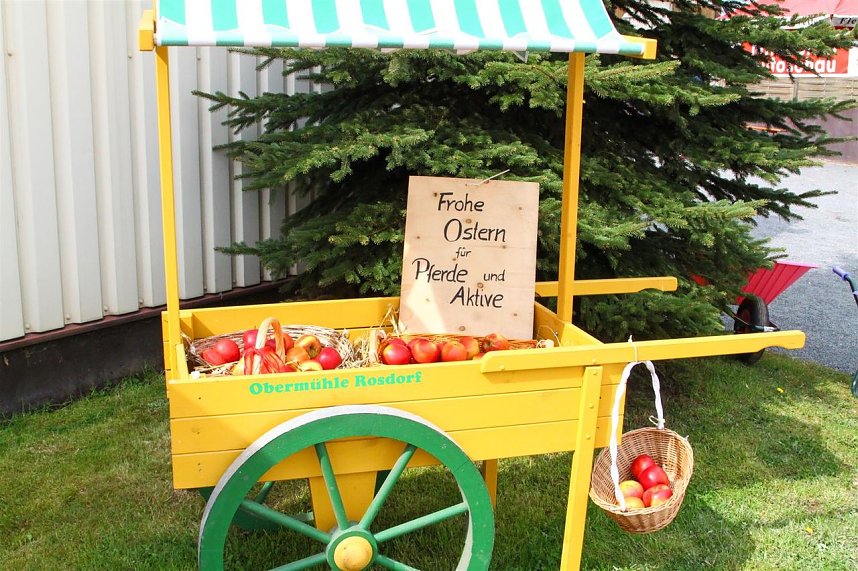 Reitturnier in Immenrode