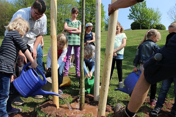 Zum Fest einen Baum gepflanzt