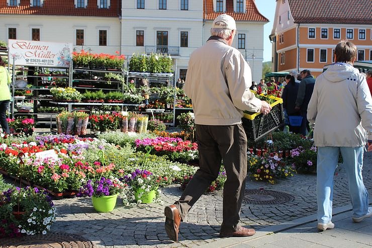 Pflanzen &uuml;ber Pflanzen