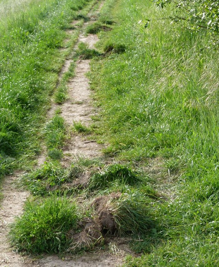 Gro&szlig;e Frechheit