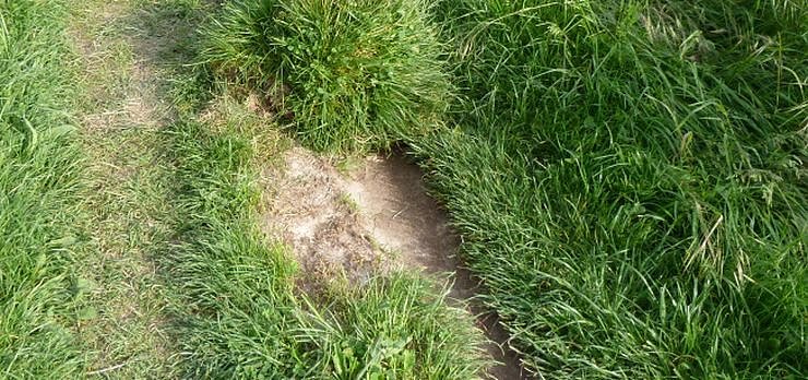 Gro&szlig;e Frechheit