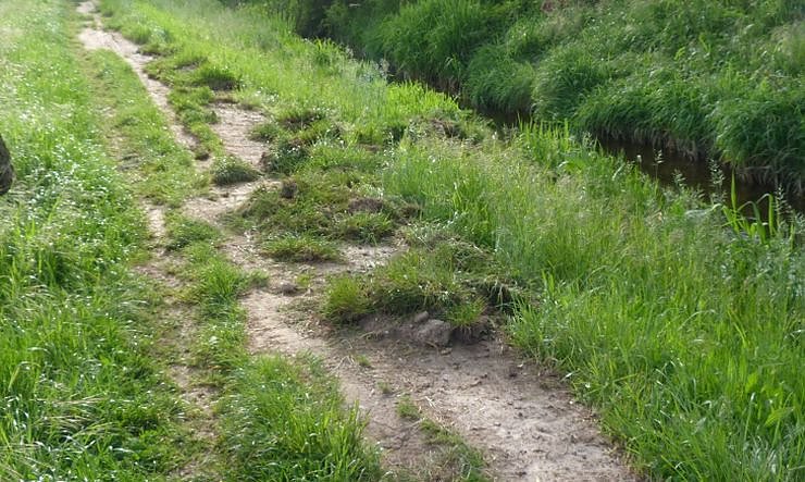 Gro&szlig;e Frechheit