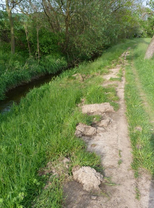 Gro&szlig;e Frechheit