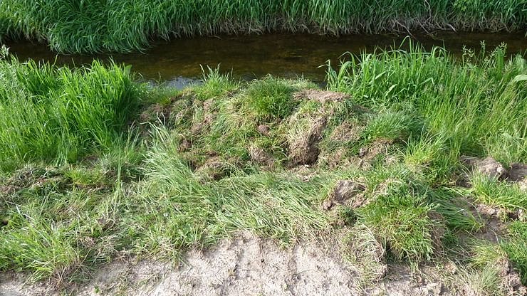 Gro&szlig;e Frechheit