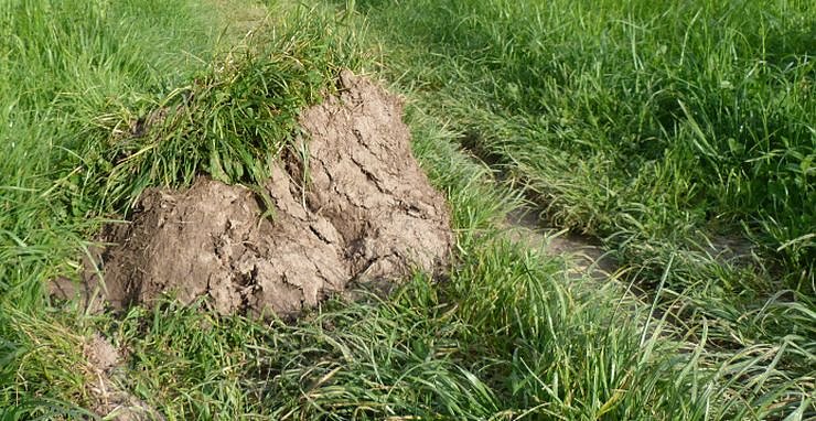 Gro&szlig;e Frechheit