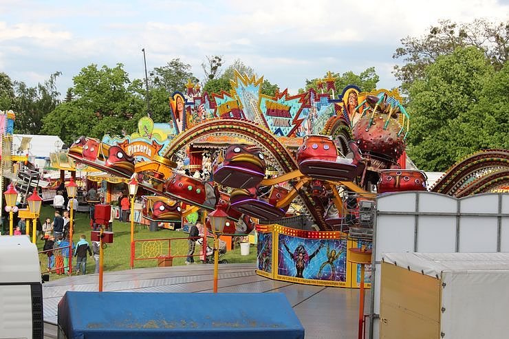 Fliederkrone gesetzt