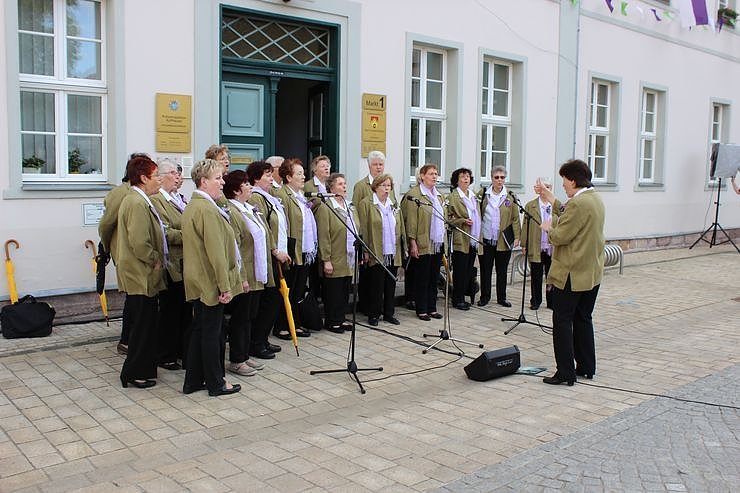 Fliederkrone gesetzt