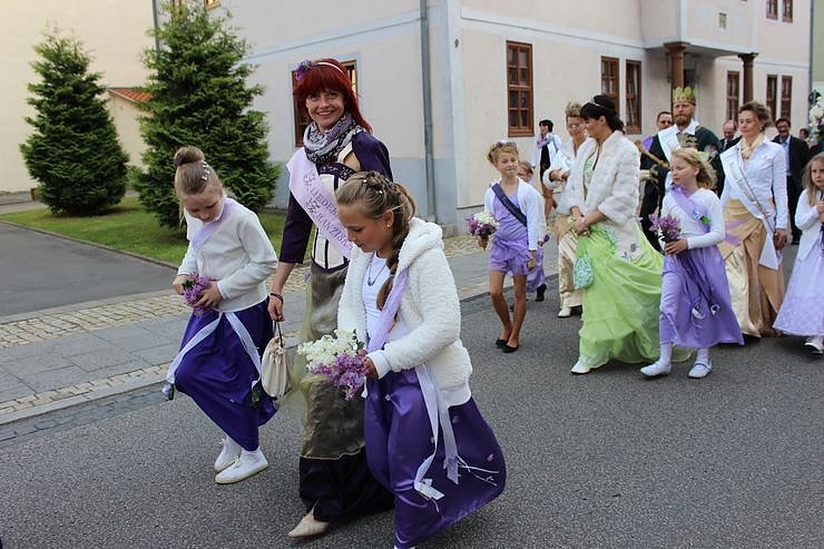 Fliederkrone gesetzt