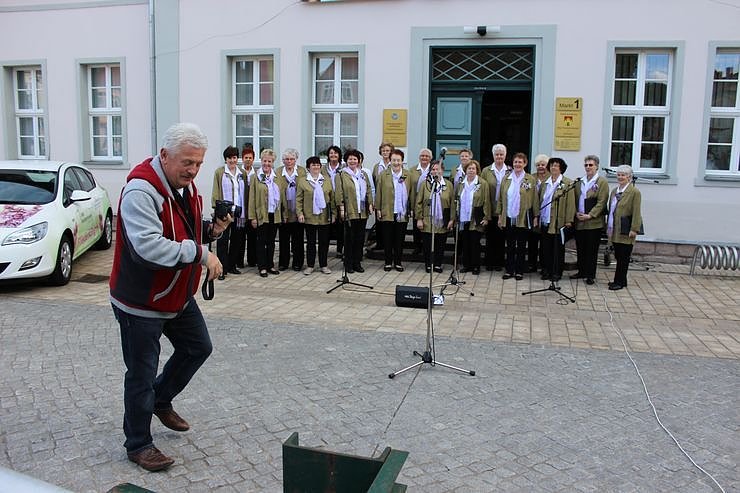 Fliederkrone gesetzt