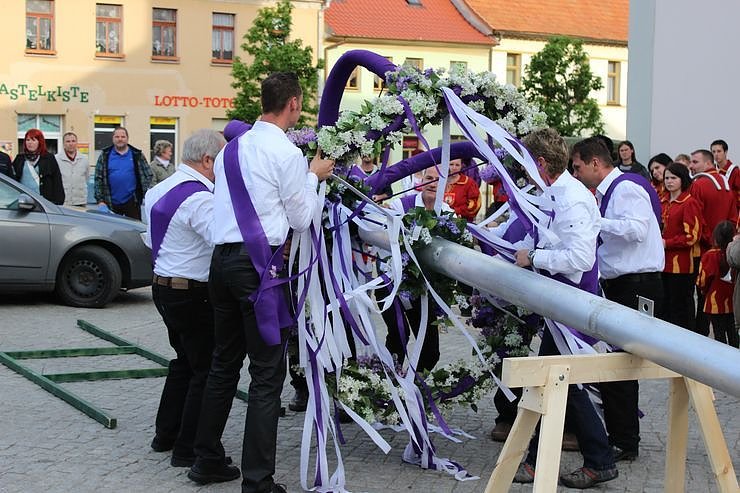 Fliederkrone gesetzt
