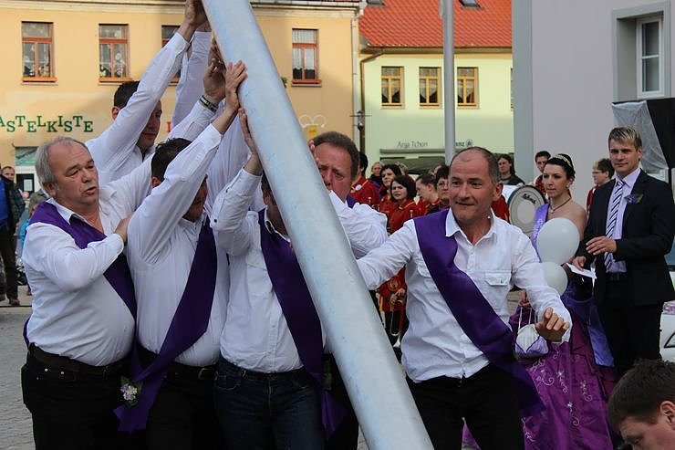 Fliederkrone gesetzt