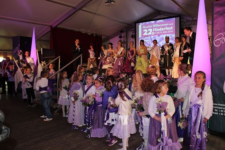 Fliederkrone gesetzt