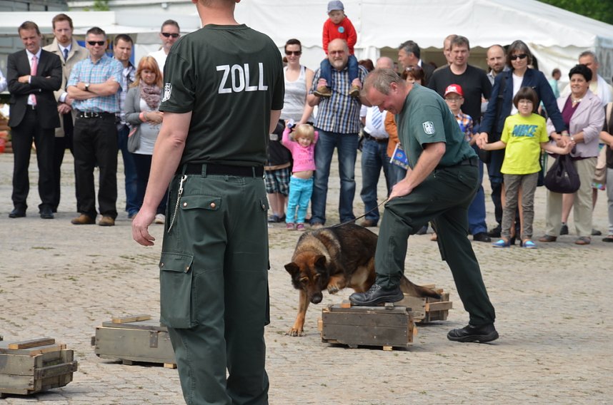 Zoll hat neues Zuhause