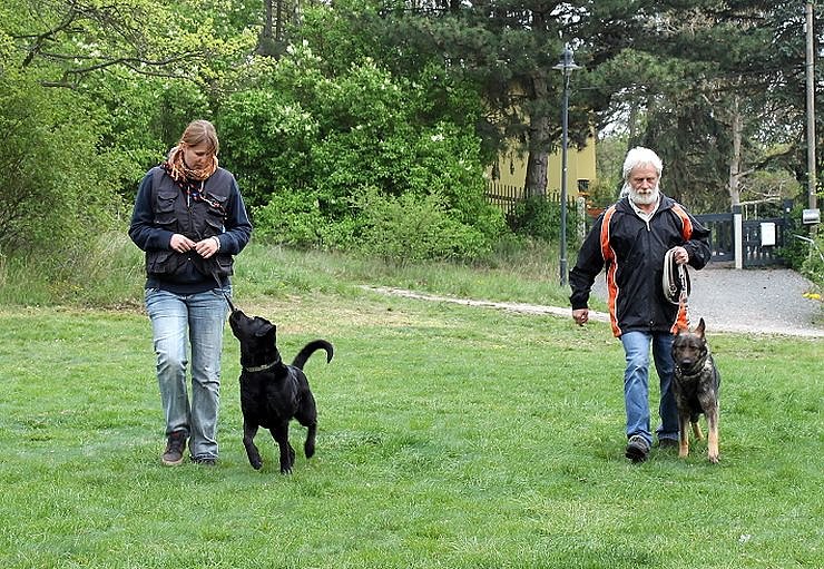 Kyffh&auml;userberglauf 2014 � ein tolles Erlebnis