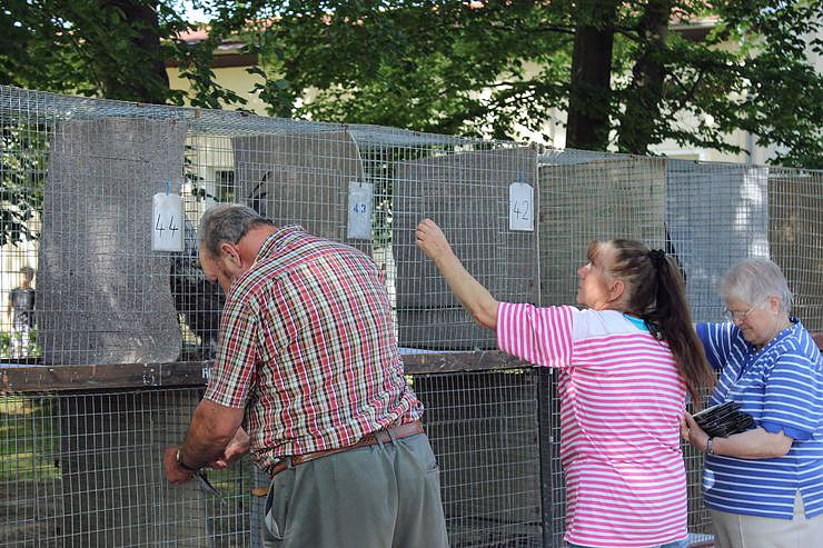 Pfingstfest auf der Feuerkuppe