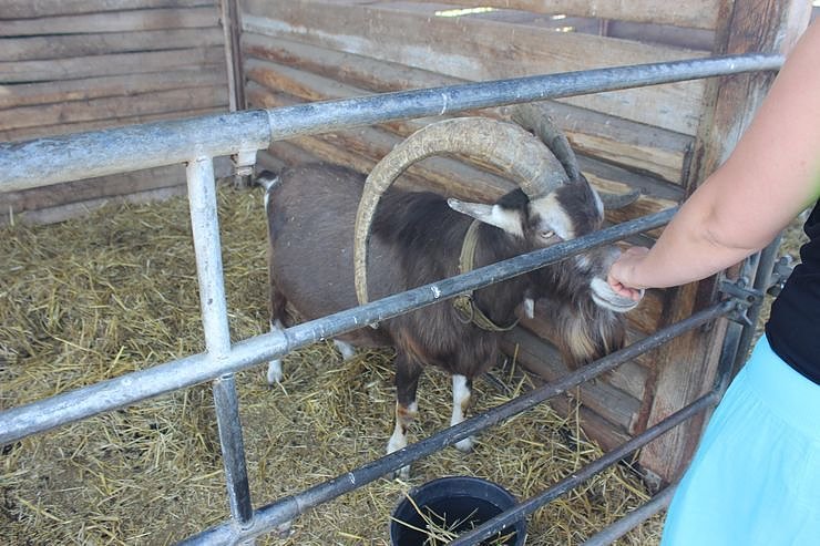M&uuml;hlentag in Greu&szlig;en