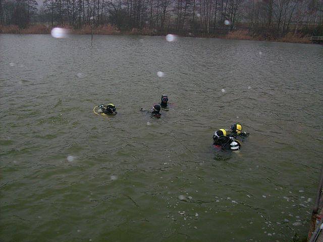 Weihnachtstauchen im Bebraer Teich