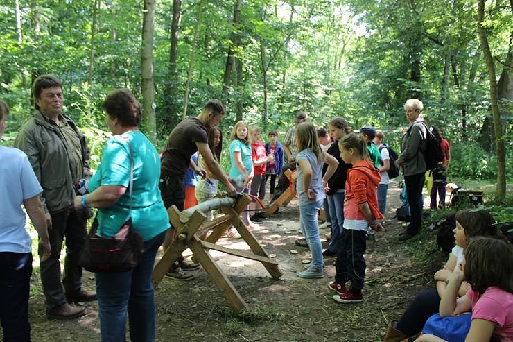 Waldjugendspiele am Rathsfeld