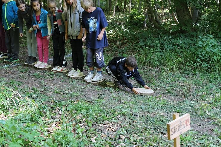 Waldjugendspiele am Rathsfeld