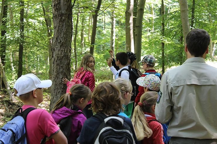 Waldjugendspiele am Rathsfeld