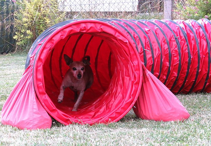 Mal etwas anderes f&uuml;r...