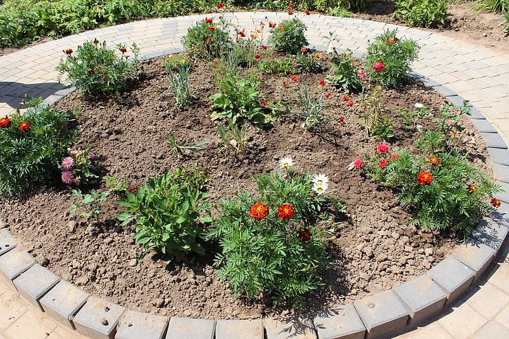 Sommerfest im Therapiegarten