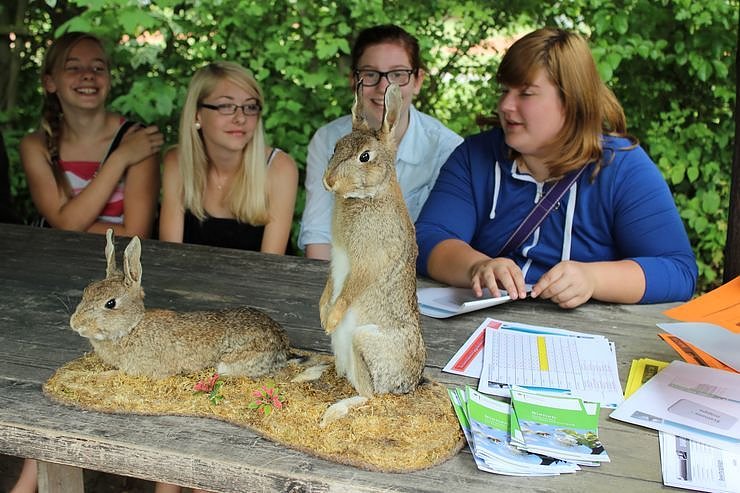 DRK-Jugend im Wettstreit