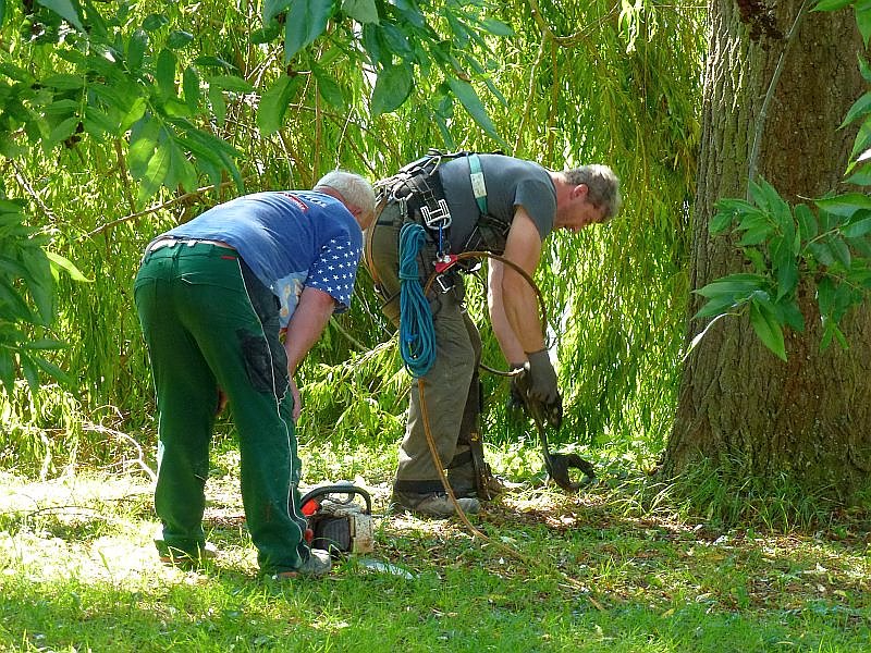 Sturmschaden auch in Sondershausen