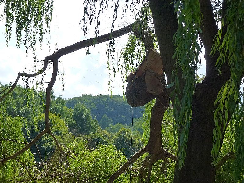 Sturmschaden auch in Sondershausen