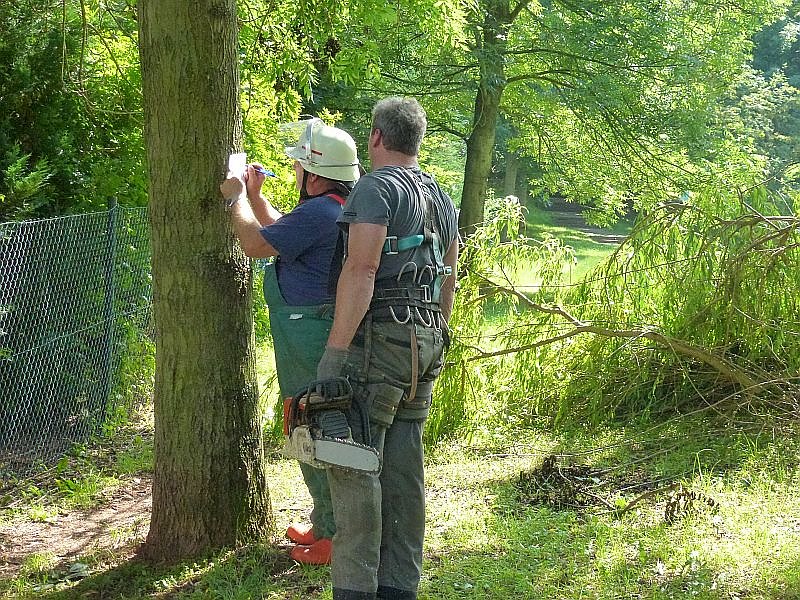 Sturmschaden auch in Sondershausen