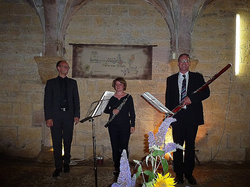 Th&uuml;ringer Orgelsommer