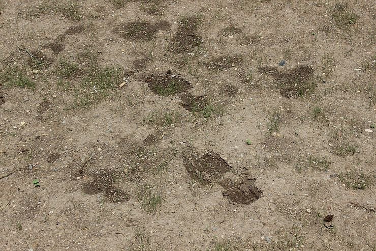 Blickfang (Eye-Catcher) eingeweiht