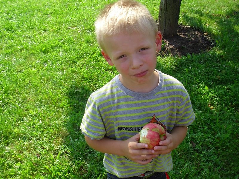 MDR H&ouml;rfunk in Gl&uuml;ckauf im Kita-Patenschaftsgarten