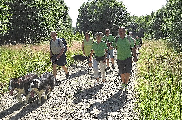 4 Pfoten Hundeclub