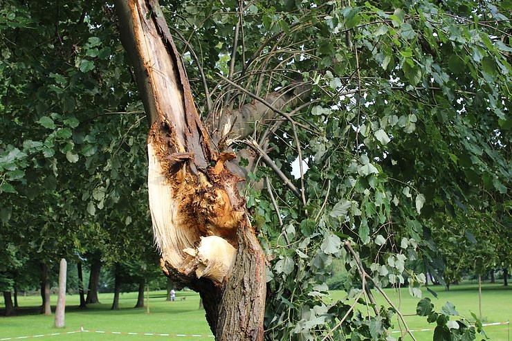 Von wegen nur Sturmschaden!