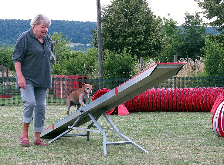 Mal etwas anderes f&uuml;r Herrchen/ Frauchen und Bello