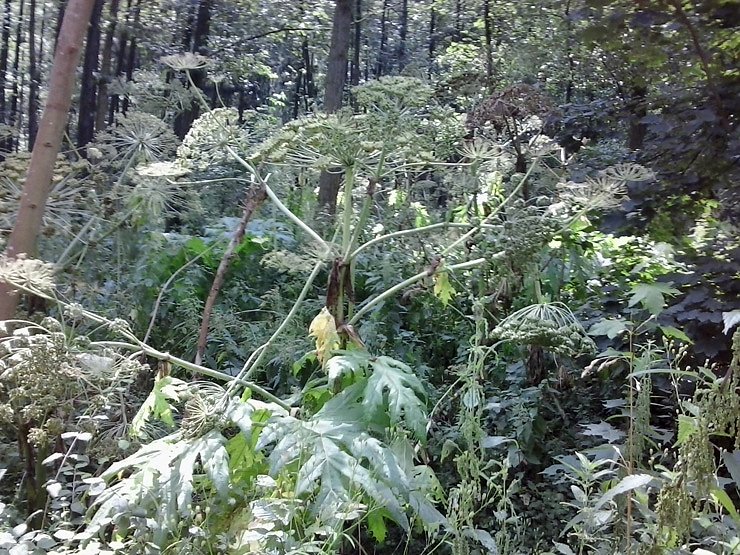 Aufpassen am Wanderweg
