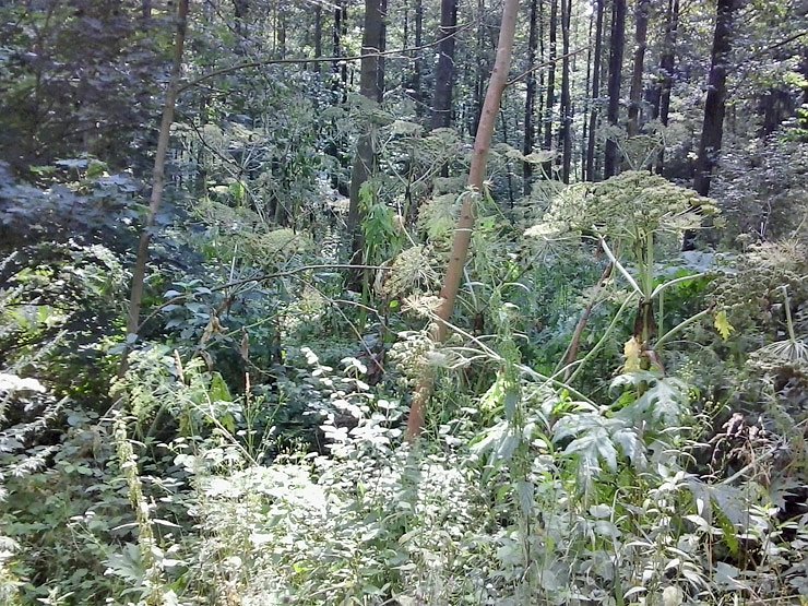 Aufpassen am Wanderweg