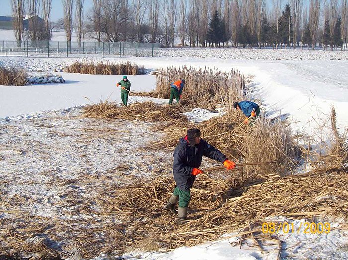 Pflege Teichkl&auml;ranlagen