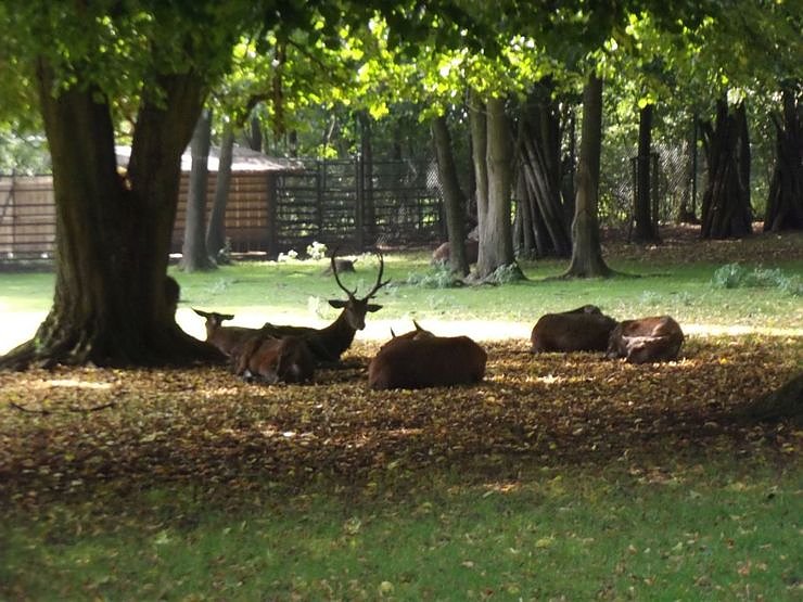 Ausflug auf den Possen
