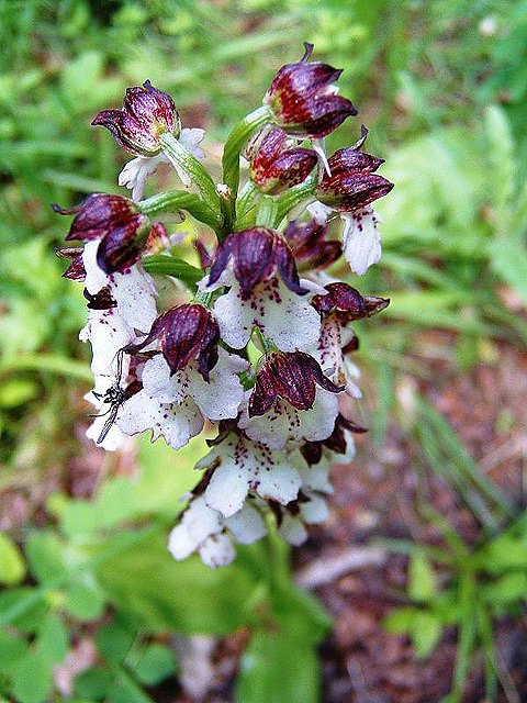 Wirtschaftsforum Sondershausen 2009