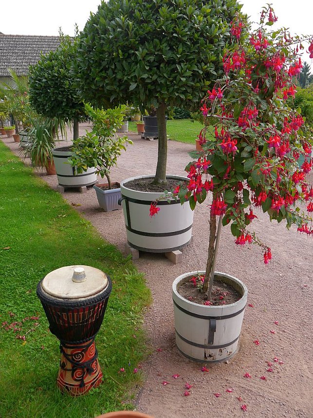 2.Aufguss - ist besser