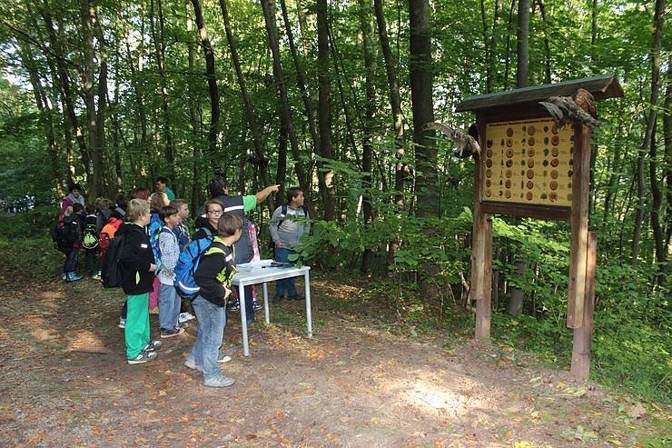 Waldjugendspiele gestartet