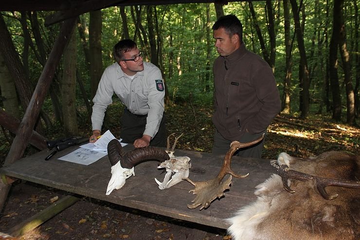 Waldjugendspiele gestartet