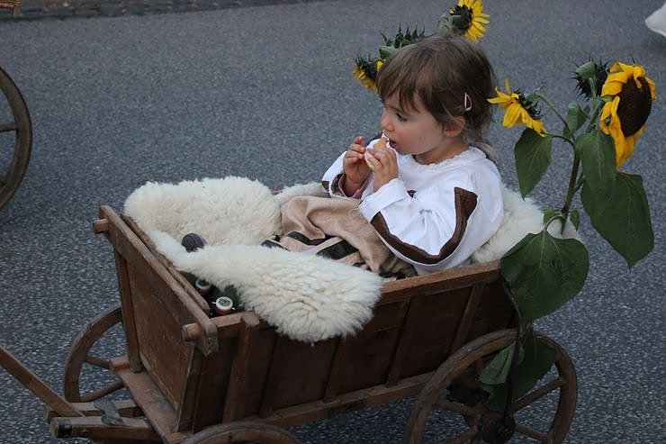 Bauernheer zog durch Bad Frankenhausen