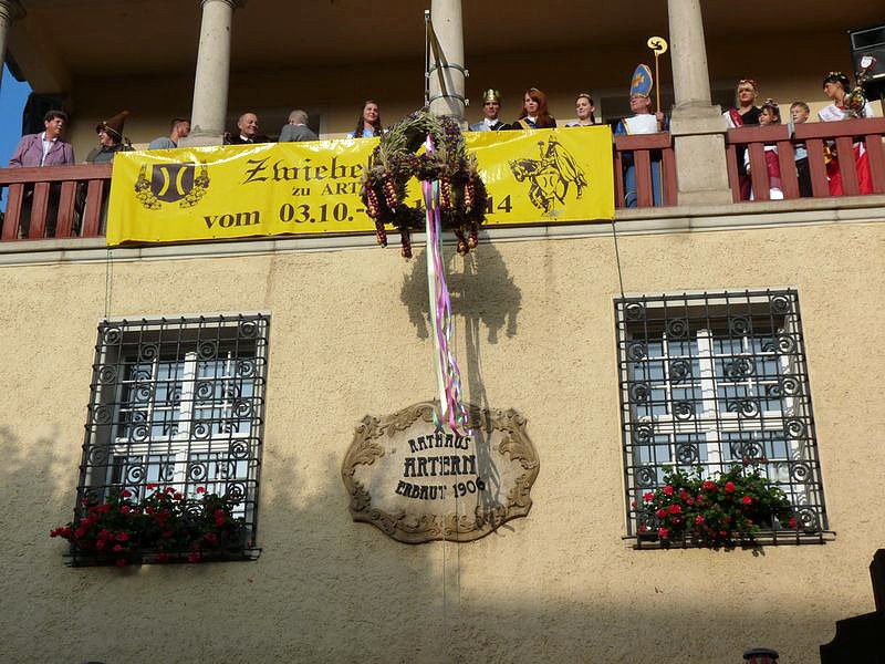 Zwiebeln &uuml;ber Zwiebeln